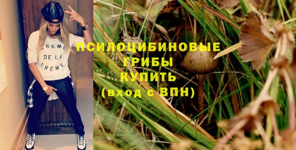 spice Алексеевка