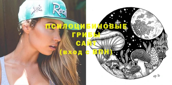 spice Алексеевка