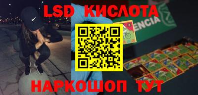 гашик Сланцы