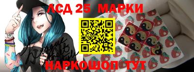 гашик Сланцы