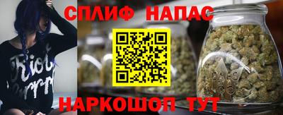 гашик Сланцы