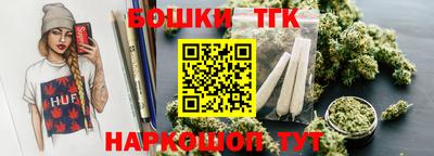 гашик Сланцы